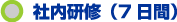 社内研修(7日間)